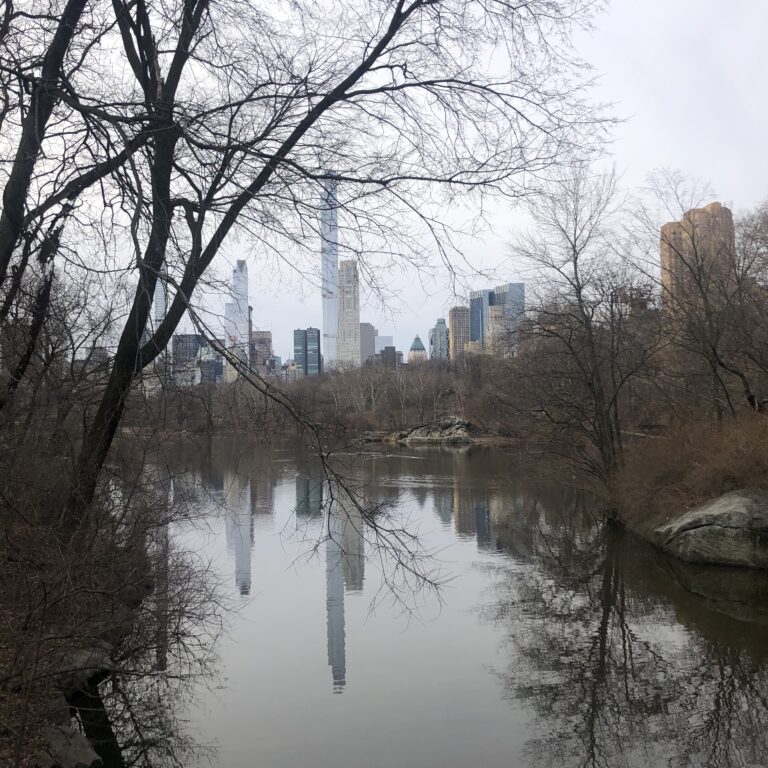 Lire la suite à propos de l’article Singing Birds in Central Park