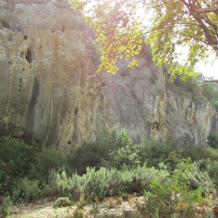 Lire la suite à propos de l’article Dans la vallée du Gardon