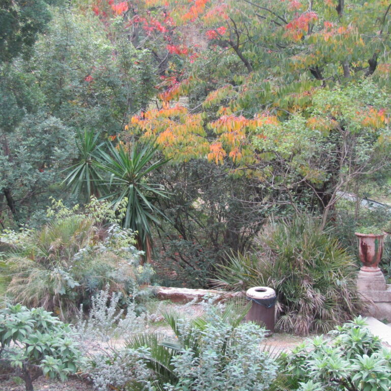 Lire la suite à propos de l’article Dans le jardin des Plantes de Montpellier